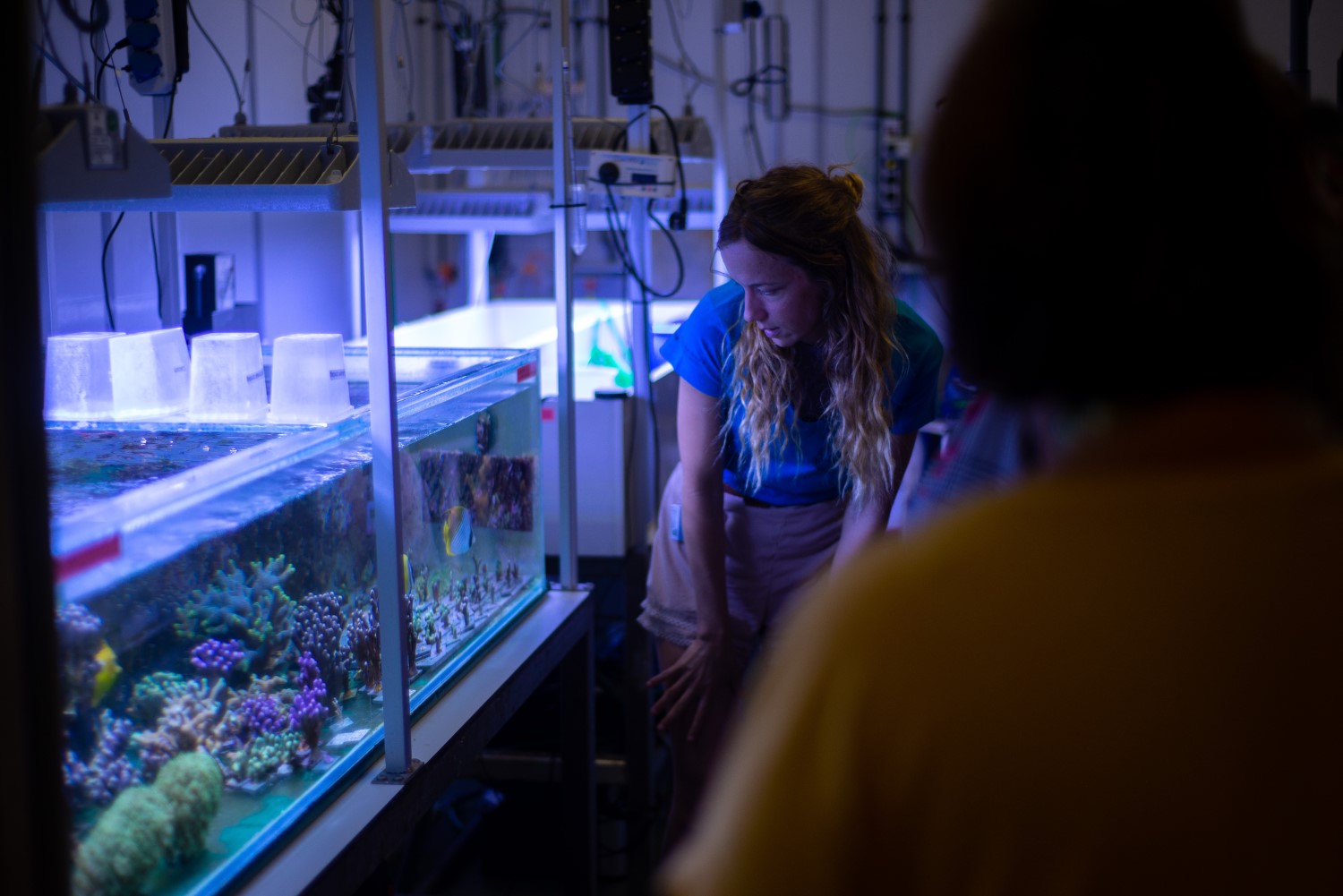 People looking at an aquarium