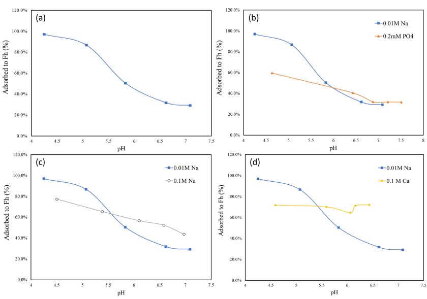 Figure 1 Effect of pH, ionic strength, competing and synergistic ions on PFOS adsorption onto ferrihydrite. (a) pH; (b) the present of competing ions (phosphate); (c) ionic strength (0.01M Na+ and 0.1M Na+); (d) the present of synergistic ions (Ca2+).