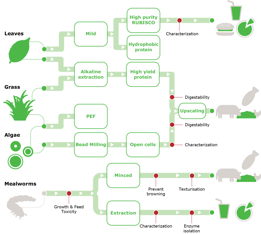 Research on extraction methods, processing, and applicability of alternative protein sources as conducted in the STW protein programme