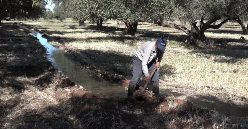 Agricultural Water Management Morocco