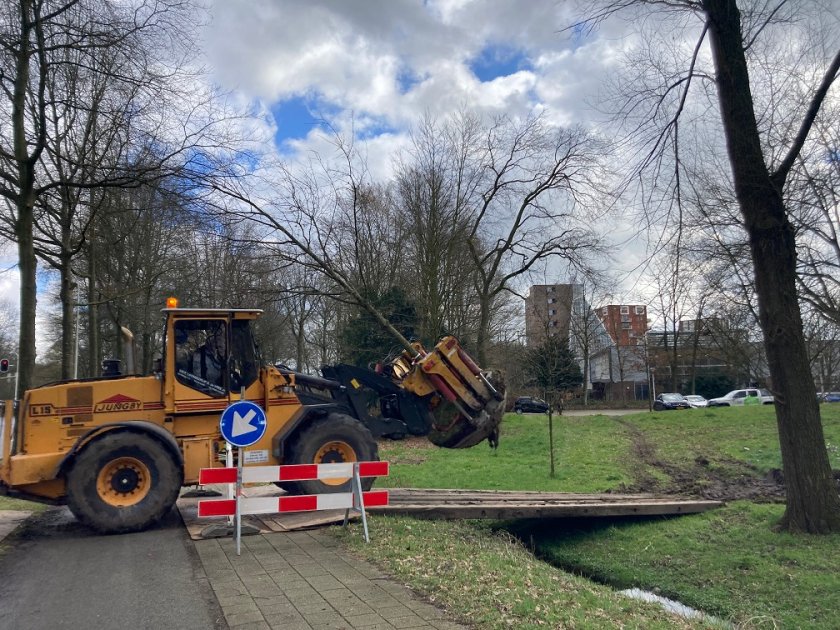 Verplaatsen van eiken van Axis naar de Leeuwenborch